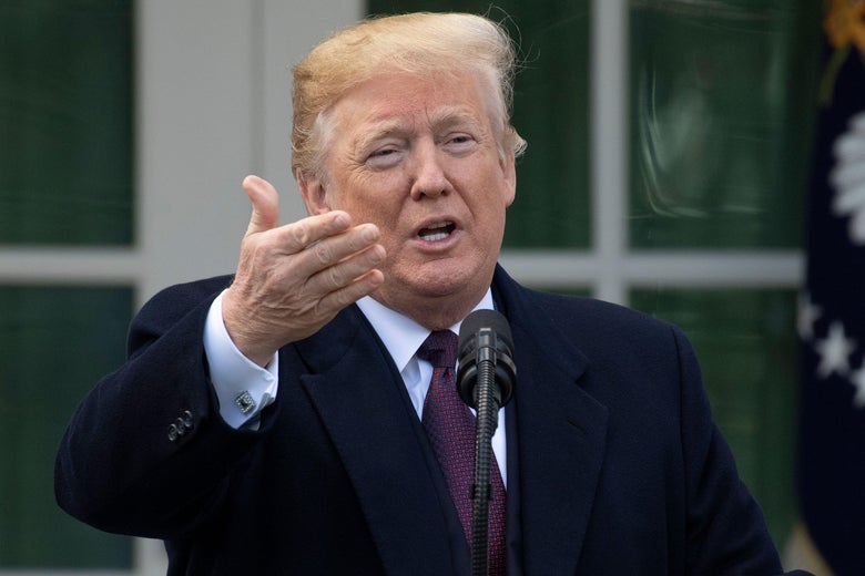 Donald Trump speaking at the White House turkey pardon ceremony outside the White House